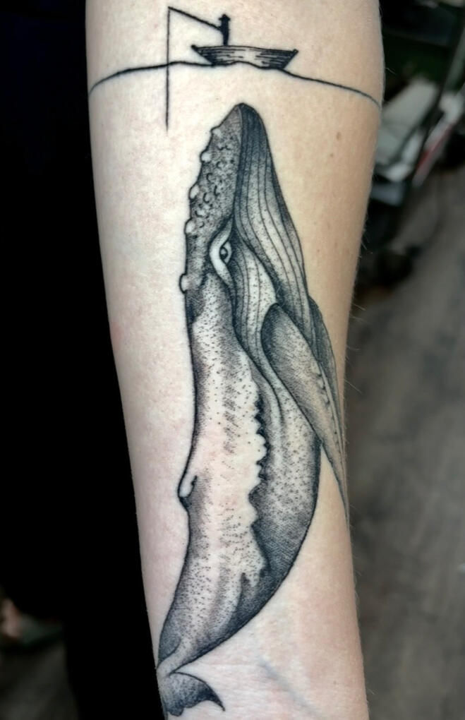 Fine line healed Fine line healed